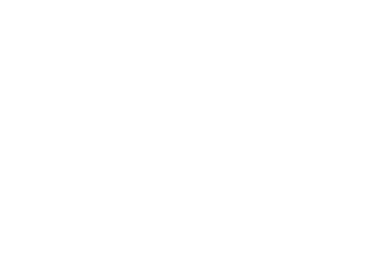 Disney Plus
