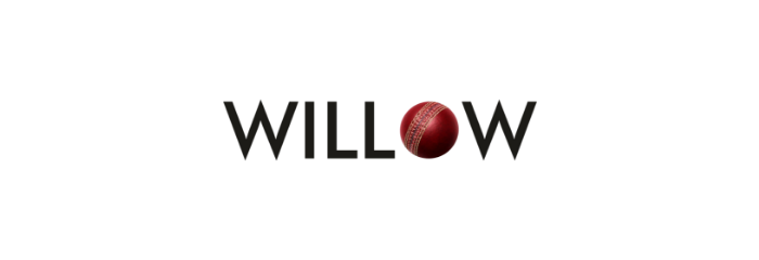 Willow TV logo