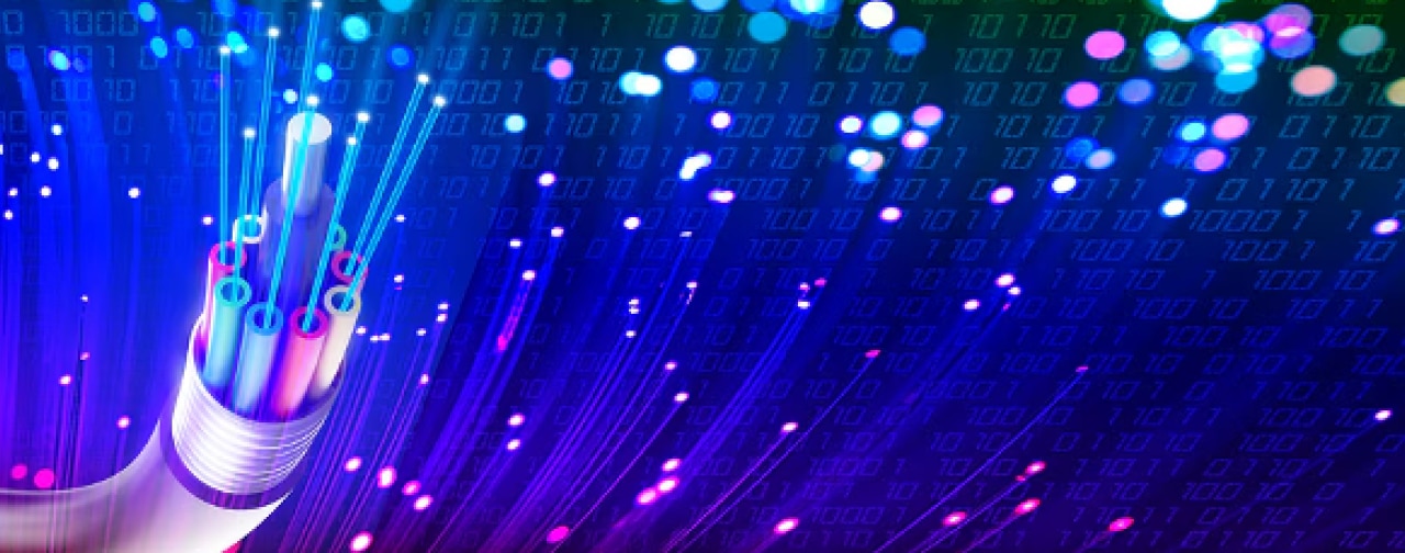 Dissected Internet cable