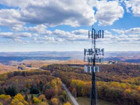 Cellular tower over open trees.