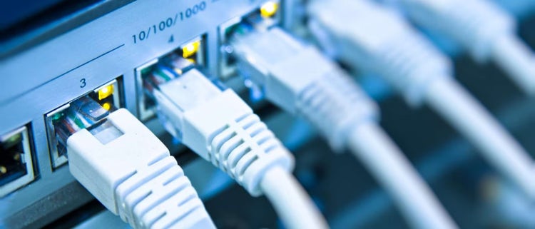 Multiple Ethernet cables plugged into a router.